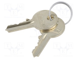 Key; 45; Works with: 45-2S00.1001.404,45-2S00.3001.404