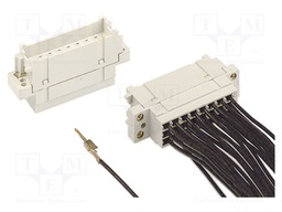 DIN-Power 2F 024-MC-B