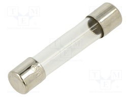 Fuse: fuse; 1A; 250VAC; glass; 6.35x31.8mm; brass; bulk