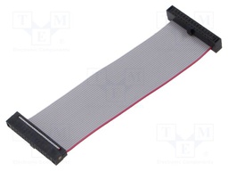 Ribbon cable with IDC connectors; Tape ph: 0.64mm; 76.2mm