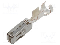 AMP MCP 2.8, CONTACT SWS (LP)