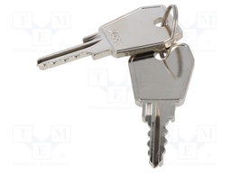 Key; Z-2106-25001-22; 2pcs.