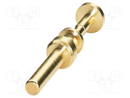 Contact; male; CuZn; gold-plated; crimped