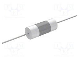 Capacitor: polyester
