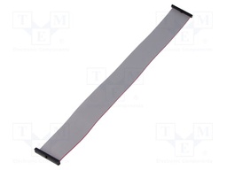 Ribbon cable with IDC connectors; Tape ph: 0.64mm; 304.8mm