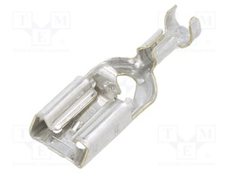 PL 250 REC TERMINAL AWG PTPB LP