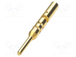 Contact; male; CuZn; gold-plated; crimped