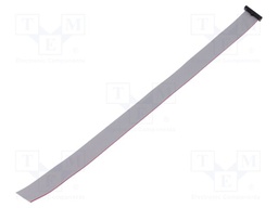 Ribbon cable with IDC connectors; Tape ph: 0.64mm; 304.8mm