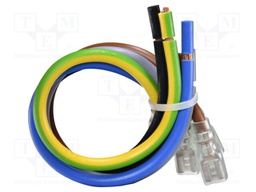 Connection cable; ETITEC EV