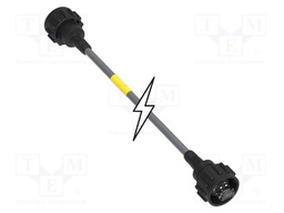 Cable: patch cord