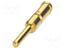 Contact; male; CuZn; gold-plated; crimped