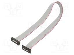Ribbon cable with IDC connectors; Tape ph: 0.64mm; 304.8mm
