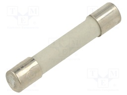 Fuse; 4A; 500V; Ø250umx1.25mm