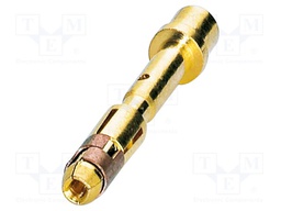Contact; female; CuZn; gold-plated; crimped