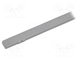 Profiles for LED modules; silver; L: 1m; SILER; aluminium