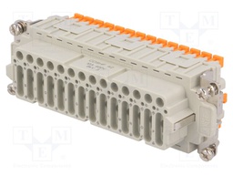 Connector: HDC; female; CDSH; PIN: 42; 42+PE; size 104.27; 10A; 400V