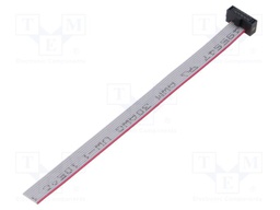 Ribbon cable with IDC connectors; Tape ph: 0.64mm; 101.6mm