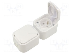 Connector: AC supply; socket; 2P+PE; 250VAC; 16A; white; wall mount