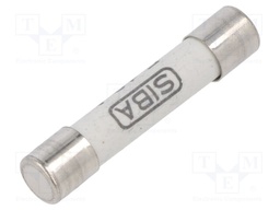 Fuse: fuse; quick blow; 10A; 600VAC; ceramic,cylindrical; 6.3x32mm