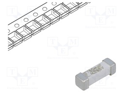 Fuse: fuse; time-lag; 750mA; 250VAC; SMD; ceramic; 10,1x3,1x3,25mm