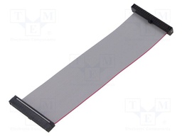 Ribbon cable with IDC connectors; Tape ph: 0.64mm; 101.6mm