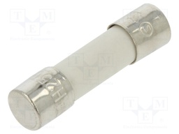 Fuse: fuse; time-lag; 10A; 250VAC; ceramic,cylindrical; 5x20mm