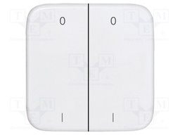 Cover plate; intelligent house,buttons and switches; double