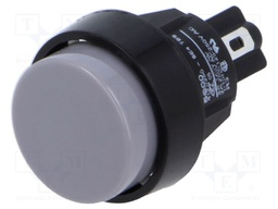 Switch: push-button; Pos: 2; SPST-NO; 2A/250VAC; 4A/250VAC; IP40