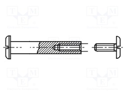 Screw; M3,5x15; Head: cheese head; slotted; brass; nickel