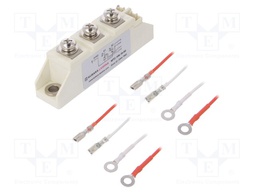 Module: thyristor; double series; 1.6kV; 106A; Ifmax: 166A; screw