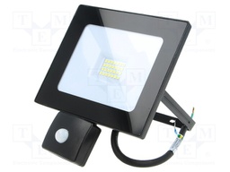 Lamp: LED flood light; 6500(typ)K; IP44; Body: black; 20W; 230VAC