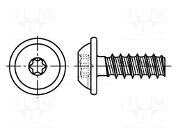 Screw; for plastic; 2,5x6; Head: button; Torx® PLUS; steel; zinc