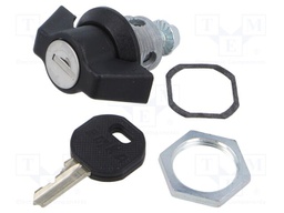 Insert for lock