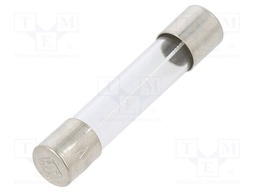 Fuse: fuse; ceramic,cylindrical; 6.3x32mm; brass; nickel plated