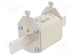 Fuse: fuse; gG; 100A; 500VAC; ceramic,industrial; NH2C; WT-NH