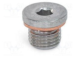 Hexagon head screw plug; with seal; Thread: M8; Pitch: 1; DIN 908