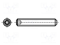 Screw; M6x22; DIN: 913; Head: without head; imbus; steel; HEX 3mm