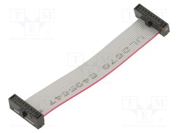 Ribbon cable with IDC connectors; Tape ph: 0.64mm; 63.5mm