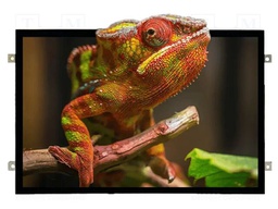 Display: TFT; 12.1"; 1280x800; Illumin: LED; RGB; Interface: LVDS