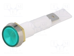 Indicator: with neon lamp; flat; 230VAC; Cutout: Ø10mm; plastic