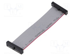 Ribbon cable with IDC connectors; Tape ph: 0.64mm; 76.2mm