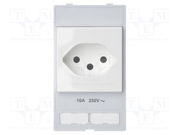Plug socket module Swiss