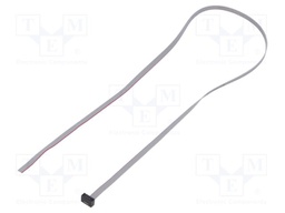 Ribbon cable with IDC connectors; Tape ph: 0.64mm; 508mm
