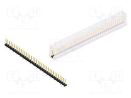 Connector: pin strips; pin header; male; PIN: 36; 2.54mm; SMT; 1x36