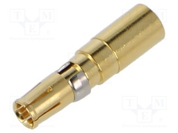connector HS-Buchse C 40A GT3