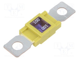 Fuse: fuse; 100A; 32VDC; automotive; 68mm; M8 screw; 68x18.3mm