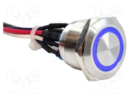 Switch: vandal resistant; DPST-NO + DPST-NC; 2A/48VDC; IP65; blue