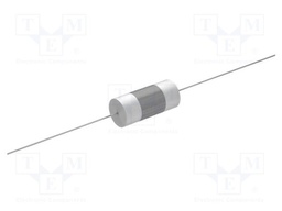 Capacitor: polyester