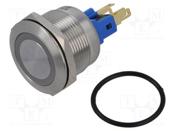 Switch: vandal resistant; Pos: 2; SPST-NO + SPST-NC; 3A/220VAC