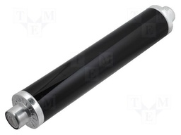 Fuse: fuse; 100A; 10kV; industrial; Imin.break: 320A
